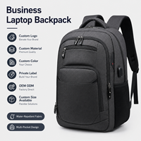 Mochila OEM Personalizable, Informal, de Negocios, Ligera, Duradera, para Hombre, Grande, Impermeable, para Viajes, para Portátil