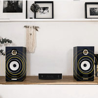 Système audio professionnel A30+ sans fil multizone pour home cinéma, mini amplificateur sans fil de classe D puissant