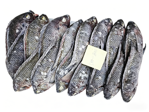 Tilapia entière congelée BQF, Tilapia du Nil noir, 300-500g/500-800g, 10kg/CTN |   Tilapia noire entière pour l'exportation - Product Image 1