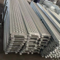 Planche/Plateforme/Planche Métallique en Acier pour Échafaudage Layher, pour Façade et U-Ledger en Europe