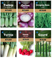 Kit de survie pour jardin potager Atlas, 29 variétés modernes, origine Chine, pour la culture des légumes