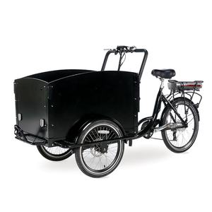 Vélo cargo électrique à 3 roues pour adultes, à chargement frontal, pour le <span class=keywords><strong>transport</strong></span> d'enfants, tricycle électrique, vélo <span class=keywords><strong>hollandais</strong></span> mobile avec boîte en bois - Product Image 1