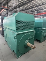 Moteur AC triphasé haute tension YKK5010 de haute qualité, 4/6/8/10/12 pôles, 1000 kW, 6000 V/1000 V, 495-3000 tr/min, efficacité IE3, IP55