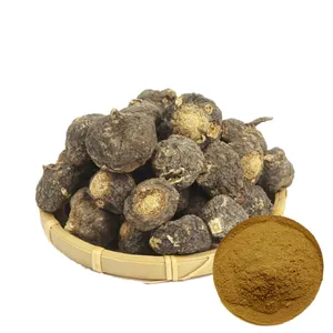 High Quality Factory Supply Black Maca Root Extract Powder 10:1
