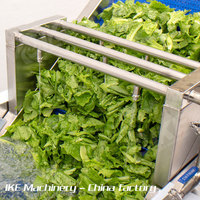 800 kg capaciteit groente- en fruitwasmachine voor mango's en cranberries