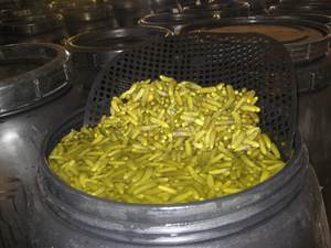 Concombres fermentés, légumes conservés au vinaigre |   Fournisseur d'exportation de cornichons marinés de qualité supérieure - Product Image 4