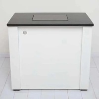 Banc de laboratoire scolaire moderne, banc à balance plat, table anti-vibrations pour laboratoire chimique