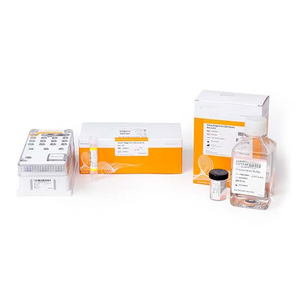 Kits de Reactivos MiSeq V2, Micro Kit de Reactivos Miseq, 300 Ciclos, Plateado, No Estéril, Clase II, 1 Año de Garantía, MS-103-1002 - Product Image 1