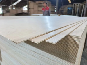 Chine fournisseur en gros contreplaqué de tilleul 1mm 2mm 3mm 4mm 5mm 6mm 7mm feuilles de tilleul pour découpé au laser <span class=keywords><strong>bricolage</strong></span> modèle artisanat Puzzle jouets - Product Image 4