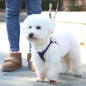 메이찬 맞춤형 부드러운 면 소재 반려동물 산책용 양면 강아지 하네스, 소형견 및 고양이용 조절 가능한 스텝인 강아지 하네스 - Product Image 2