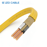 Cable NM-B con Certificación UL719 de JZD, 600V 90 ℃   Cable de Cobre Sólido con Conexión a Tierra 14/2 12/2 10/2 AWG para Cableado Residencial en Interiores