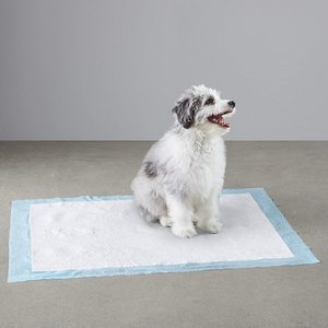 Almohadillas absorbentes para mascotas, superficie de secado rápido con diseño a prueba de fugas para orinal de entrenamiento - Product Image 6