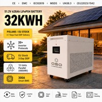 Batterie solaire LiFePO4 48V 32kWh/64kWh DDP PL EU Stock 4nrgy 32Kwh 64kwh 64 30 32 kwh Kw Hektary Offgrid Pologne 4enrgy 32kw Better Ess