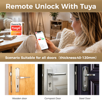 Kunci Pintu Pintar Biometrik Digital Elektronik Otomatis Penuh OEM H01 Tuya dengan Pemindai Wajah, Telapak Tangan, dan Sidik Jari