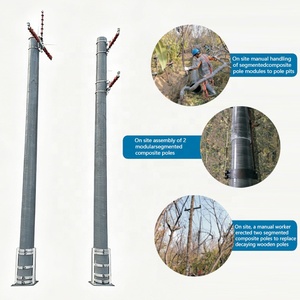 Poteaux de service composite de haute qualité pour l'équipement de <span class=keywords><strong>distribution</strong></span> d'énergie - Product Image 6