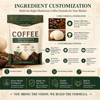 Poudre de café aux champignons végétaliens OEM, formule complexe 10 en 1 pour stimuler le système immunitaire, extrait de crinière de lion