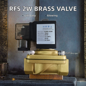 Válvula de Control de Gas Eléctrica de Latón Serie RFS 2W de 3/8-2 Pulgadas Normalmente Cerrada con Estructura de Diafragma DC12V 24V - Product Image 2