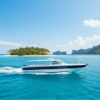 Grandsea Bateau à passagers rapide en fibre de verre de 38 pieds avec toit rigide