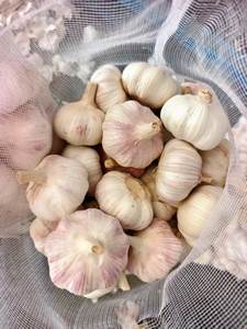 <span class=keywords><strong>Ail</strong></span> Ajo Alho Exportation d'<span class=keywords><strong>ail</strong></span> de légumes frais à un <span class=keywords><strong>prix</strong></span> de gros compétitif Chine Fournisseurs vérifiés - Product Image 5