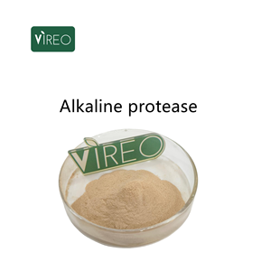 Пищевой фермент: щелочная протеаза 1400 000 ед/г - Product Image 1