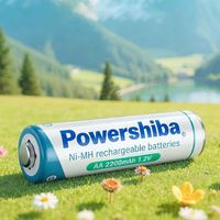 Baterai Ni-MH AA 1.2v Ukuran AA 2200mAh Baterai Isi Ulang AA Baterai Ni-mh Isi Ulang 1.2v