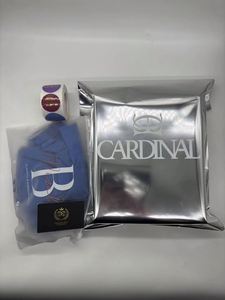 Sobres de Envío de Poliéster Plateado Metálico con Logotipo Personalizado, Bolsas de Correo de Papel de Aluminio Plateado Metálico, Tamaños Pequeño, Mediano y Grande para Ropa - Product Image 5