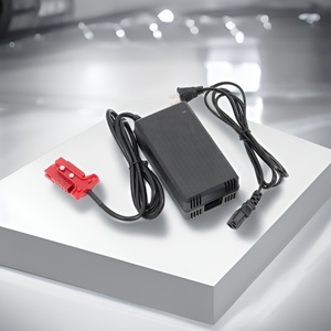 Cargador de Batería para Scooter 54.6V 6A, Carcasa de PC Ignífuga Premium, Revisión DFM para Reducir los Riesgos de Producción en Masa - Product Image 1