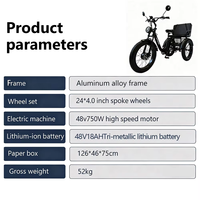 Tricycle à trois roues à pneus larges pour la neige, certifié EEC, moteur central 750W, trike passager et cargo, batterie au lithium, adultes, 200 kg