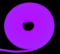 6mm 8mm Neon Strip 7w 12v 24v Ip65 Eparated Silicone Led Neon Tube Body Flex Strips Light Neon Flex De Silicona