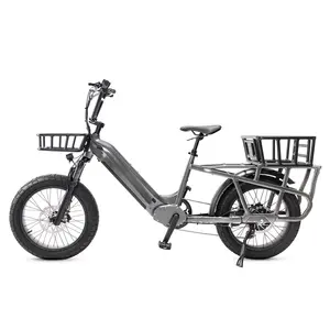 2024 Mario 20-inch ban besar kargo listrik dengan 250w Bafang belakang hub motor