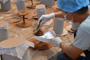 Ganoherb Gmp Fabrikant Levering Extract Poeder <span class=keywords><strong>Reishi</strong></span> Champignon Ganoderma Extract Poeder Met 25% Polysaccharide - Product Image 4