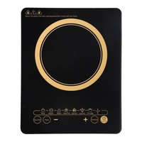 Grande plaque de cuisson à induction carrée en verre trempé, à brûleur unique, commande manuelle, portable, étanche, pour usage extérieur, domestique et en camping-car, type Dutch