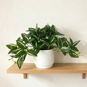 Plante artificielle en pot, plante grimpante de jade, décoration d'intérieur, verdure décorative avec pot, 17 pouces, en tissu - Product Image 1