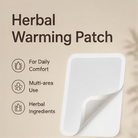 Patch thermique auto-chauffant à base d'armoise pour moxibustion, certifié CE, 5 patchs par boîte, jetable, pour pieds/jambes