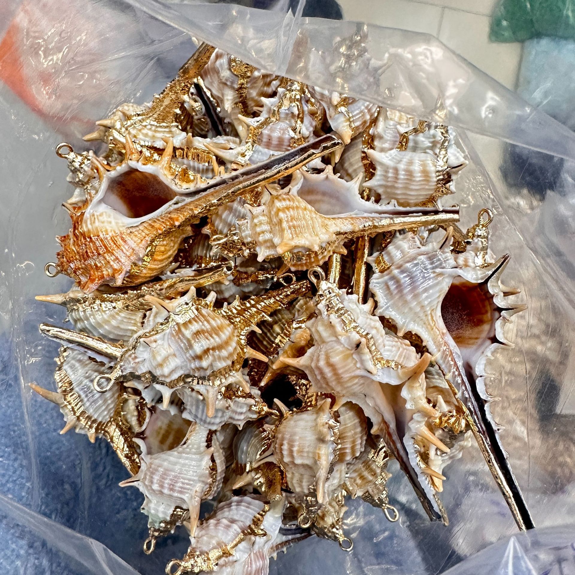 4 ricci dal becco appuntito