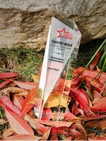 Trofeo de Cristal en Forma de Cubo de Alta Gama, Personalizado con Texto Grabado e Impresión a Color, para Celebraciones de Jubilación, Premios de Fin de Año para Equipos