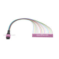 16 cœurs 16 brins 16 fibres centre de données OM4 harnais multi-mode connecteur de câble de sortie MPO mâle à LC cordon de raccordement à fibre optique