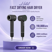 Sèche-cheveux ionique portable EASTON au design moderne pour hôtels, souffleur électrique haute puissance à séchage rapide avec des fonctionnalités exceptionnelles