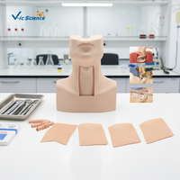 Modèle d'entraînement anatomique avancé pour la ponction cricotyrodienne, la trachéotomie et l'intubation – Modèle humain en PVC pour les écoles de sciences médicales