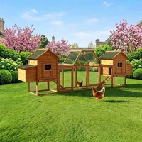 Poulailler pliable et portable de 160 pouces, léger, résistant aux intempéries, structure stable en bois de sapin massif, pour 7 poulets, extérieur, jardin, volailles