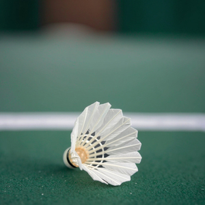 Cầu lông thể thao SIYU tự nhiên, nhẹ, bền cao, bay ổn định, màu trắng, 6 quả, loại chuyên nghiệp - Product Image 1