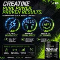 Bubuk Creatine HCL Monohydrate Premium Rasa Blueberry Lemon Suplemen Pra-Latihan BCAA Nutrisi Olahraga Dewasa 500g OEM