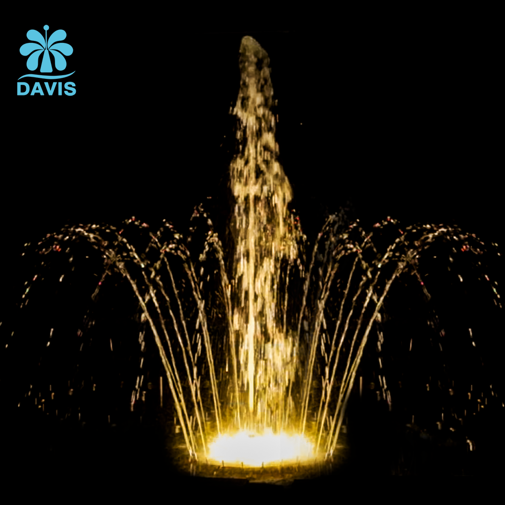 DAVIS Voice Controlled Stainless Steel Eco-Friendly Scream Fountain LED Lights Floating Programmable Musical Fountain for Pool