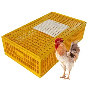 Productos de primera categoría Jaula de transporte de plástico para aves de corral Jaula de transporte de pollo vivo desmontable