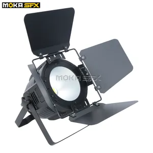 Luci da palcoscenico COB Par Moka 200W per luci da pavimento per palcoscenici con illuminazione da palcoscenico a fascia da chiesa