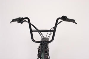 OEM de fábrica al por mayor <span class=keywords><strong>precio</strong></span> 20 pulgadas neumático gordo súper bicicleta eléctrica <span class=keywords><strong>73</strong></span> Ebike 500W 750W bicicleta eléctrica híbrida Scooter bicicleta eléctrica - Product Image 5