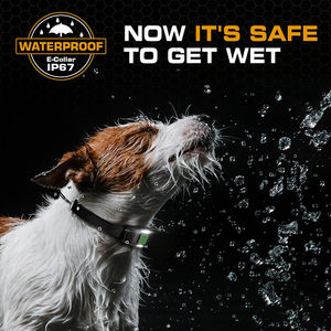 Ferntrainingshalsband gegen Bellen, intelligent, aus Kunststoff, für große und mittelgroße Hunde, 124 Stufen, 1100 Yards Reichweite, Nachtlichtmodus, IP67 wasserdicht - Product Image 4