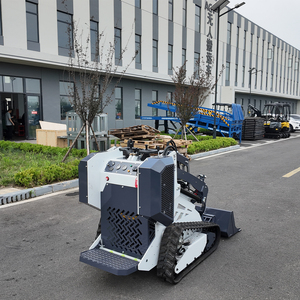 Miễn phí vận chuyển giá rẻ New nhỏ nhỏ nhỏ vườn loader bánh xe/theo dõi theo dõi mini Skid chỉ đạo Bộ nạp - Product Image 3