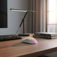 Mouse Gaming PC Nirkabel Profesional RGB Isi Ulang USB/Type-C Sensor Optik 2400DPI untuk Tangan Kanan 6 Tombol Ergonomis