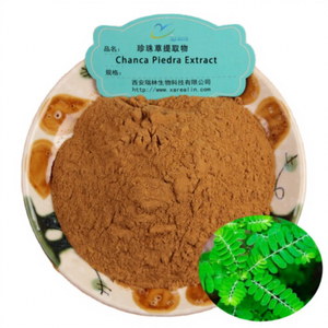 Extracto Natural de Phyllanthi Urinariae (Chanca Piedra) para el Apoyo Renal, 10:1 - Product Image 1